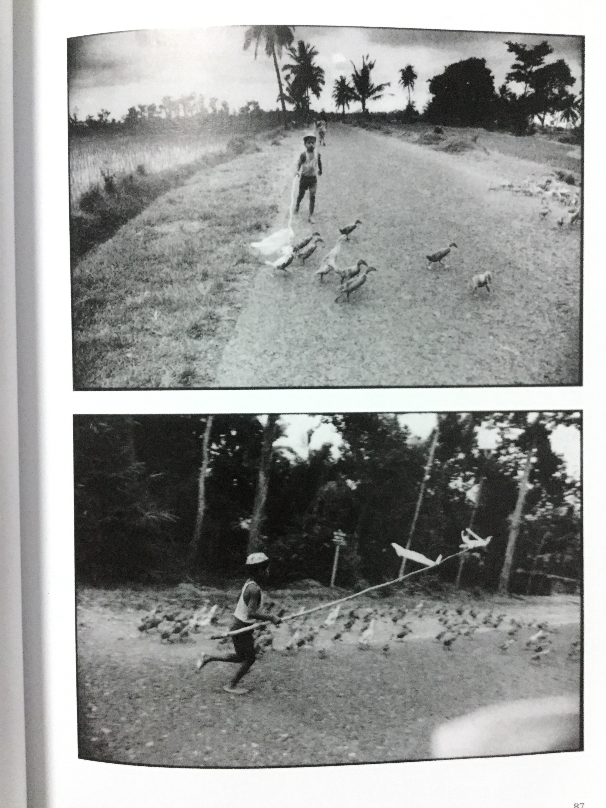 Evernote Camera Roll 20161130 162237.jpg